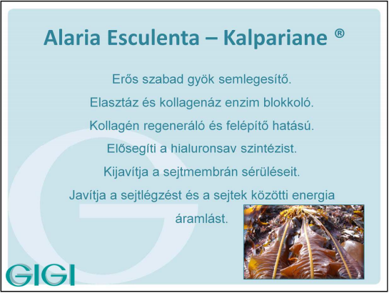 3 kép