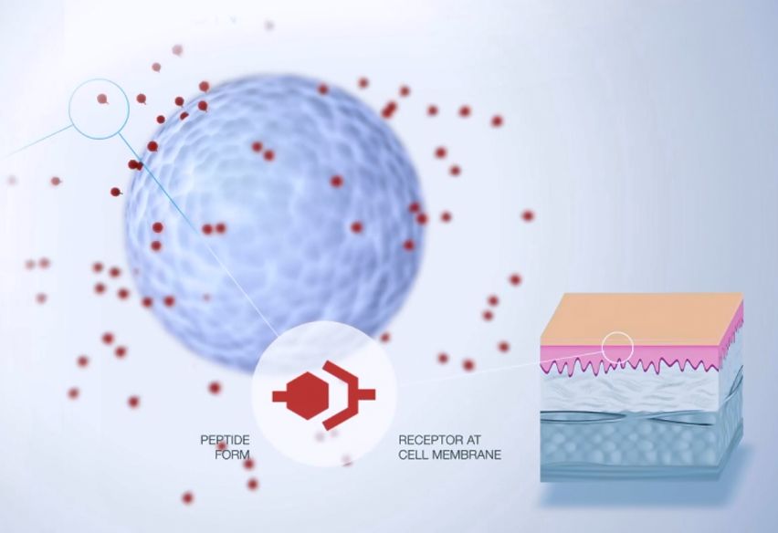 nutripeptid_drone